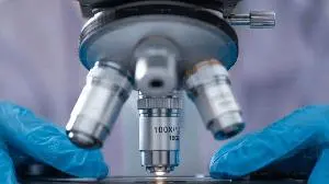 HUYABIO International Announces HBI-8000 and Nivolumab Combination Reduces the Risk of Disease Progression by 27% in Patients with Advanced Melanoma in Phase 3 Trial