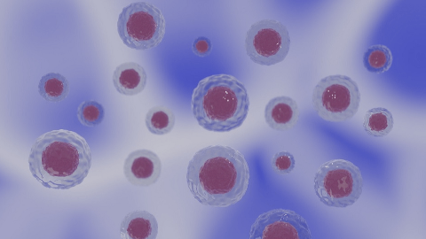 Sarclisa recommended for EU approval by the CHMP to treat transplant-eligible newly diagnosed multiple myeloma