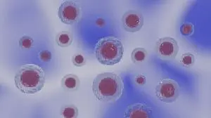 Sarclisa recommended for EU approval by the CHMP to treat transplant-eligible newly diagnosed multiple myeloma