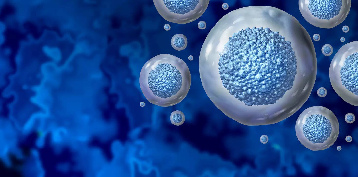 Experimental Jasper drug helps stem cell transplant patients avoid toxic chemotherapy in tiny trial