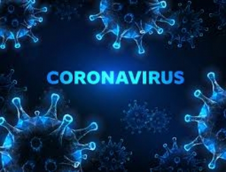Karnataka forms expert committee to study epidemiology of COVID-19 & assess infection transmission