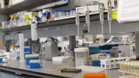 Abivax Announces Late-Breaking Presentation of 8-Week ABTECT Trial Results with Updated Safety Data