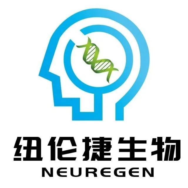 专注神经原位转分化创新基因疗法，新锐获数千万元pre-A轮融资！