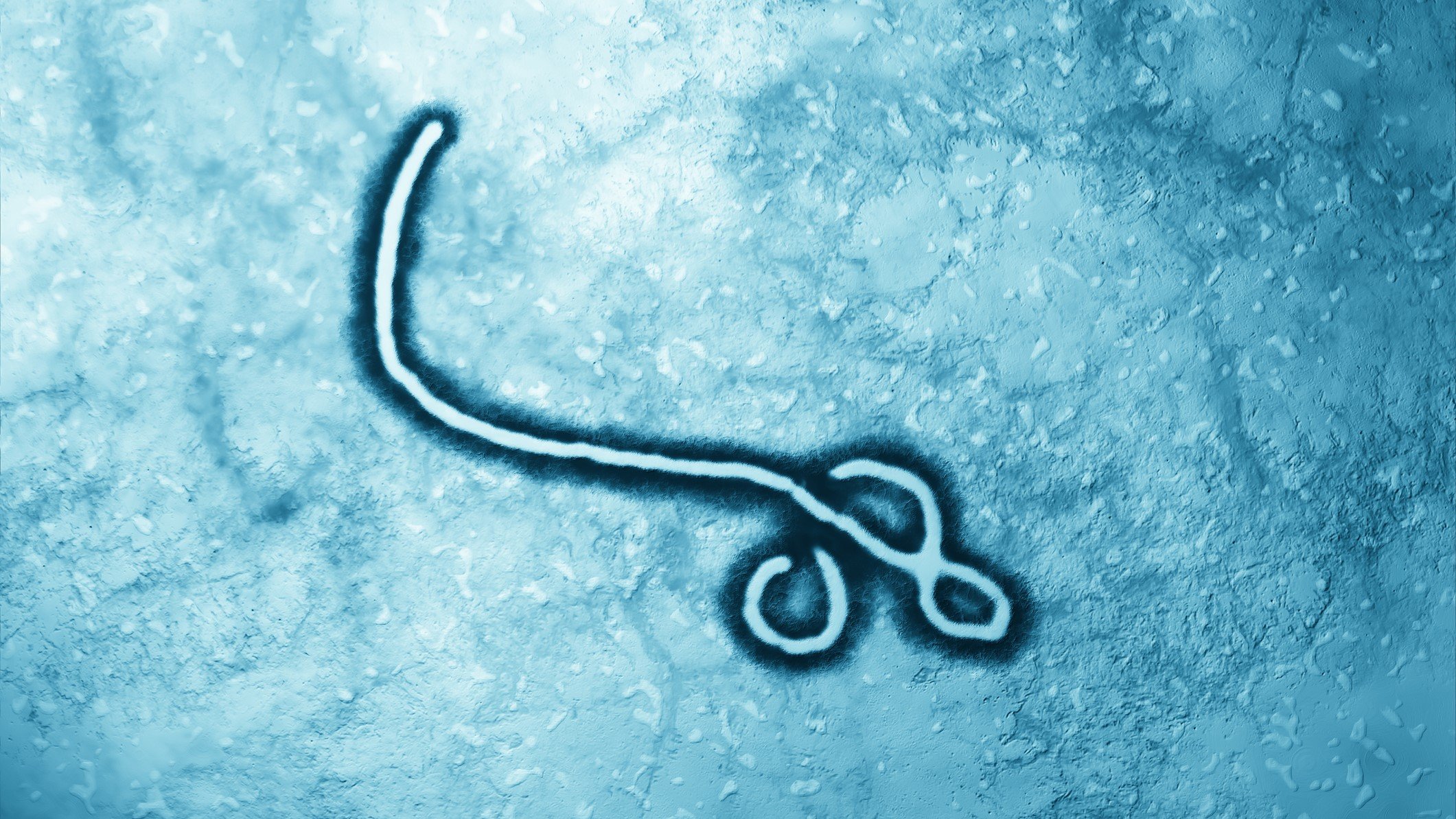 First real-world analysis of Merck's Ebola vaccine reveals 84% effectiveness during DRC outbreak