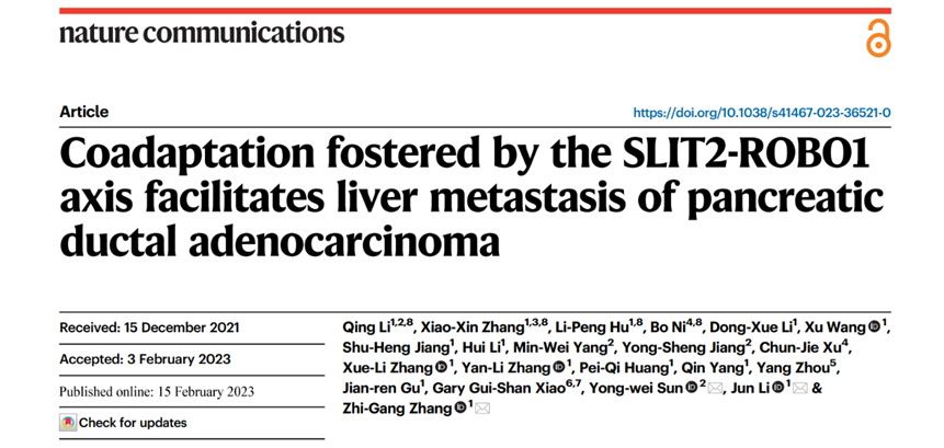 《自然·通讯》：仁济医院团队揭示“癌王”肝转移的关键分子机制