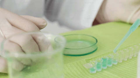 BeyondSpring Publishes Human Clinical Study in Med (Cell Press) Showing Plinabulin-Driven Dendritic Cell Maturation and Tumor Response After Prior Checkpoint Inhibitor Failure