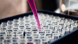 Pharvaris Presents Data Supporting Ongoing Clinical Development of Deucrictibant in Bradykinin-Mediated Angioedema