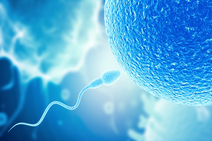 Contraline and its male birth control candidate rally $92.5M amid push into 'massive white space' of men's health