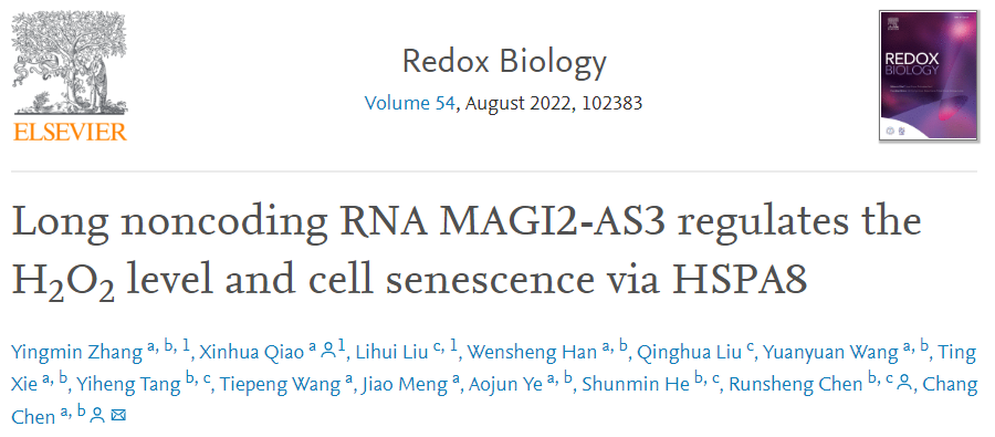 陈畅/陈润生团队揭示lncRNA调控细胞氧化还原及衰老新机制