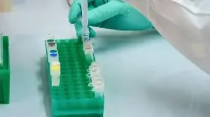 CStone Updated Clinical Progress and Key Phase I/II Data for CS2009 (PD-1/VEGF/CTLA-4 Trispecific Antibody)