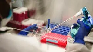 Roche’s divarasib demonstrated best-in-class efficacy, advancing the standard of care in previously treated KRAS G12C-mutated lung cancer
