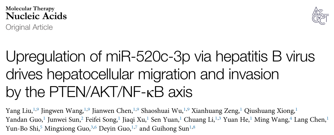 非编码RNA: 乙型肝炎病毒上调miR-520c-3p促进肝细胞迁移和侵袭