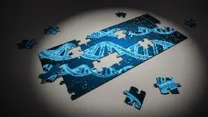 CHMP recommends EU approval of Roche’s Itovebi for PIK3CA-mutated, ER-positive, HER2-negative, advanced breast cancer