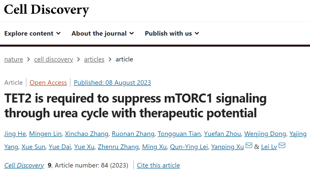 Cell Discovery：吕雷/徐艳萍团队揭示TET2通过尿素循环抑制mTORC1信号，具有癌症治疗潜力