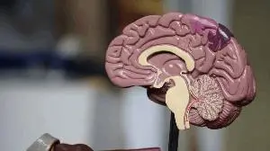ProMIS Neurosciences Granted Fast Track Designation by U.S. FDA for PMN310 in the Treatment of Alzheimer’s Disease