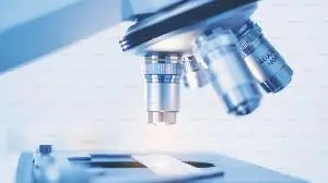 Kelun-Biotech Announces Results from the SKB264-II-06/MK-2870-002 Study of Sacituzumab Tirumotecan (Sac-TMT) in Gynecologic Oncology Presented at 2026 SGO