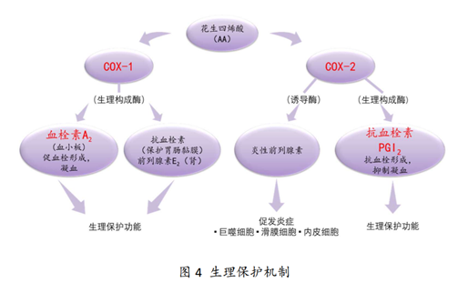 浴火历练14年！国家1类新药：艾瑞昔布