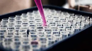 Bicara Therapeutics to Present Updated Data from Ongoing Phase 1/1b Trial of Ficerafusp alfa in 1L R/M HNSCC at the 2025 American Society of Clinical Oncology (ASCO) Annual Meeting