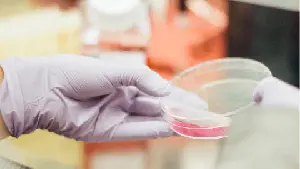 Telitacicept Achieved Primary Endpoint in Phase 3 Clinical Study for Primary Sjögren's Disease with Telitacicept, a Dual BAFF/APRIL Inhibitor