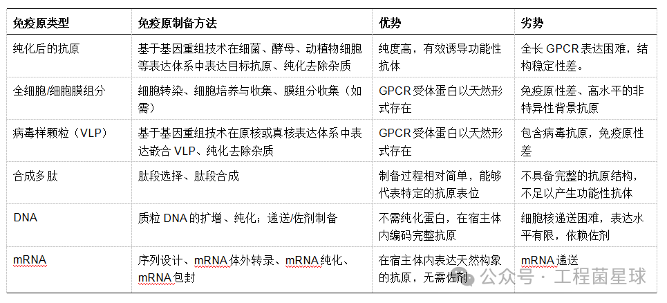 一文读懂 | GPCR抗体开发的前景和挑战