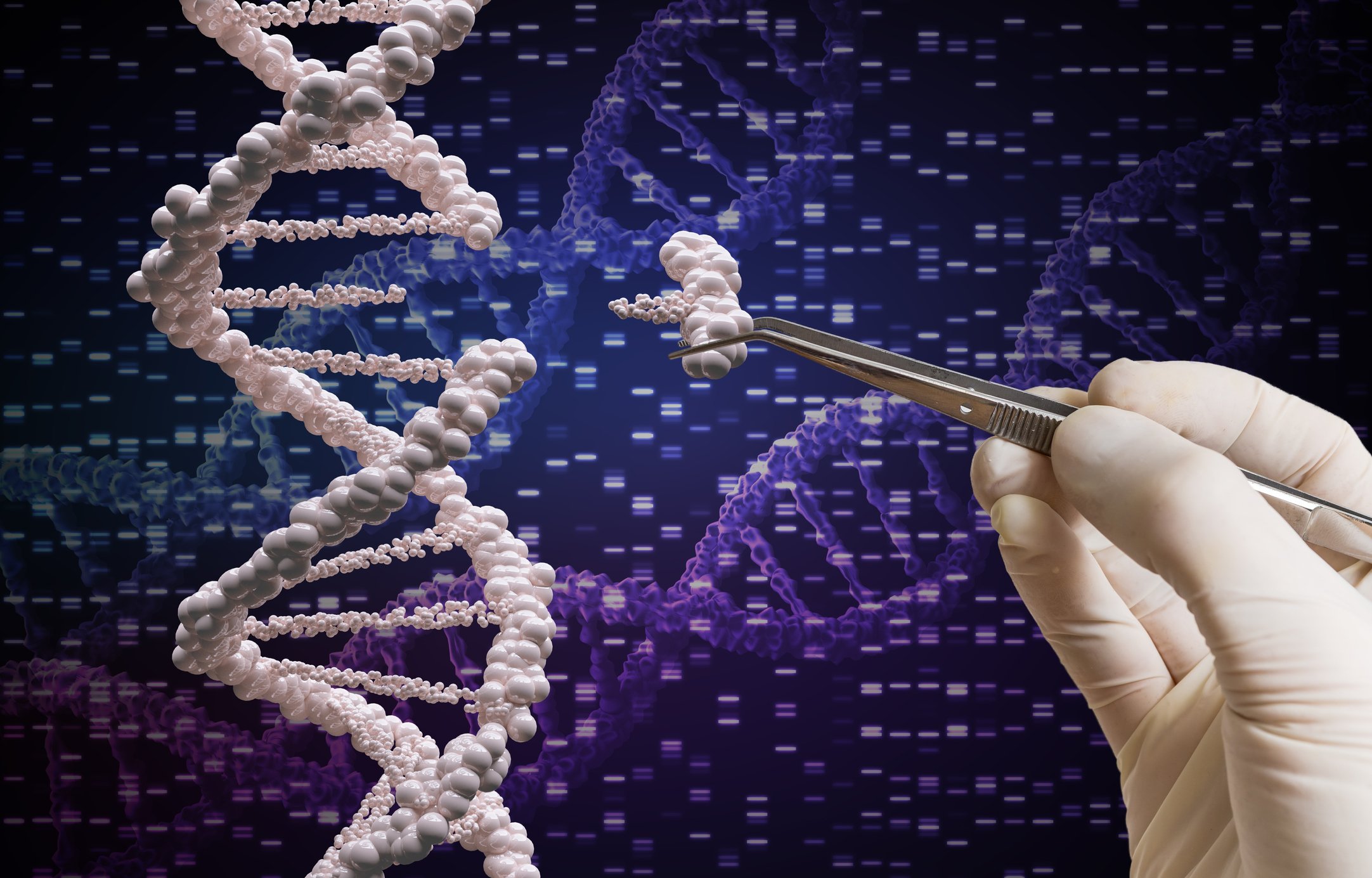 Gene editing leaders call for 10-year suspension of heritable human genome editing