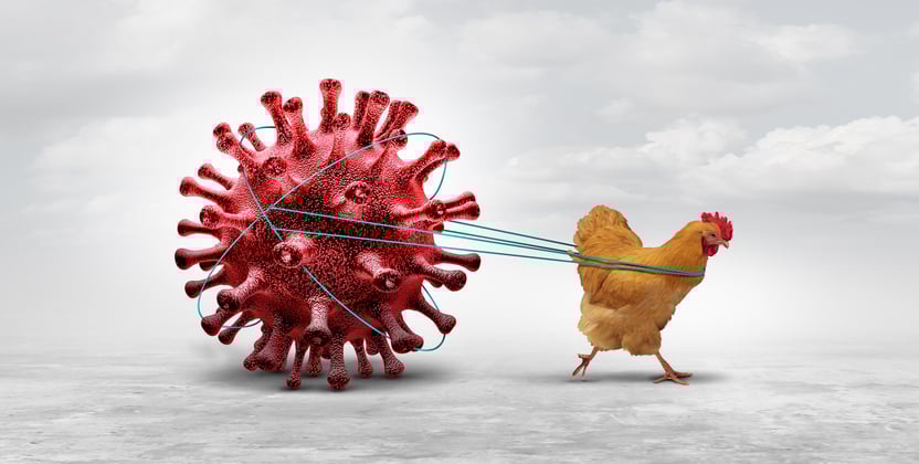 Europe taps CSL Seqirus to produce bird flu vaccines for pandemic preparedness efforts