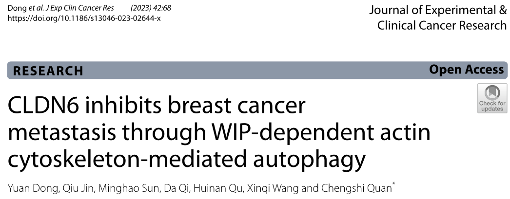 吉林大学研究者们进一步揭示了CLDN6作为乳腺癌症诊断和治疗潜在生物标志物