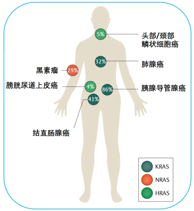 【JMC】 靶向KRAS多样性——G12X及其它在癌症治疗中的共价调控