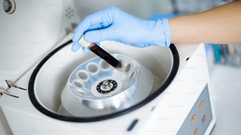BioVie Announces Data Highlighting Bezisterim’s Potential to Slow or Reverse Biological Aging and Neurodegeneration Featured as a Keynote Talk at the 7th World Aging and Rejuvenation Conference