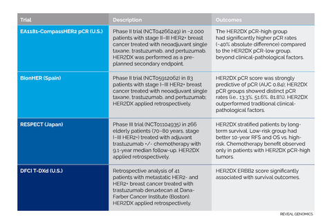 ASCO 2025: REVEAL GENOMICS Unveils New HER2DX Data From 800+ Patients