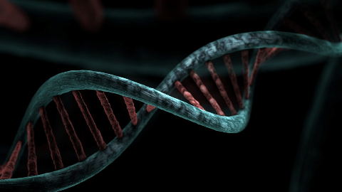Opus Genetics Announces One-Month Clinical Data from Pediatric Patient in Phase 1/2 Trial of OPGx-LCA5 Gene Therapy in Inherited Retinal Diseases