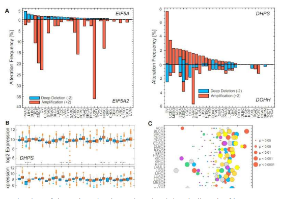 Blood Cancer Discov：科学家发现对于淋巴瘤发生非常重要的分子通路