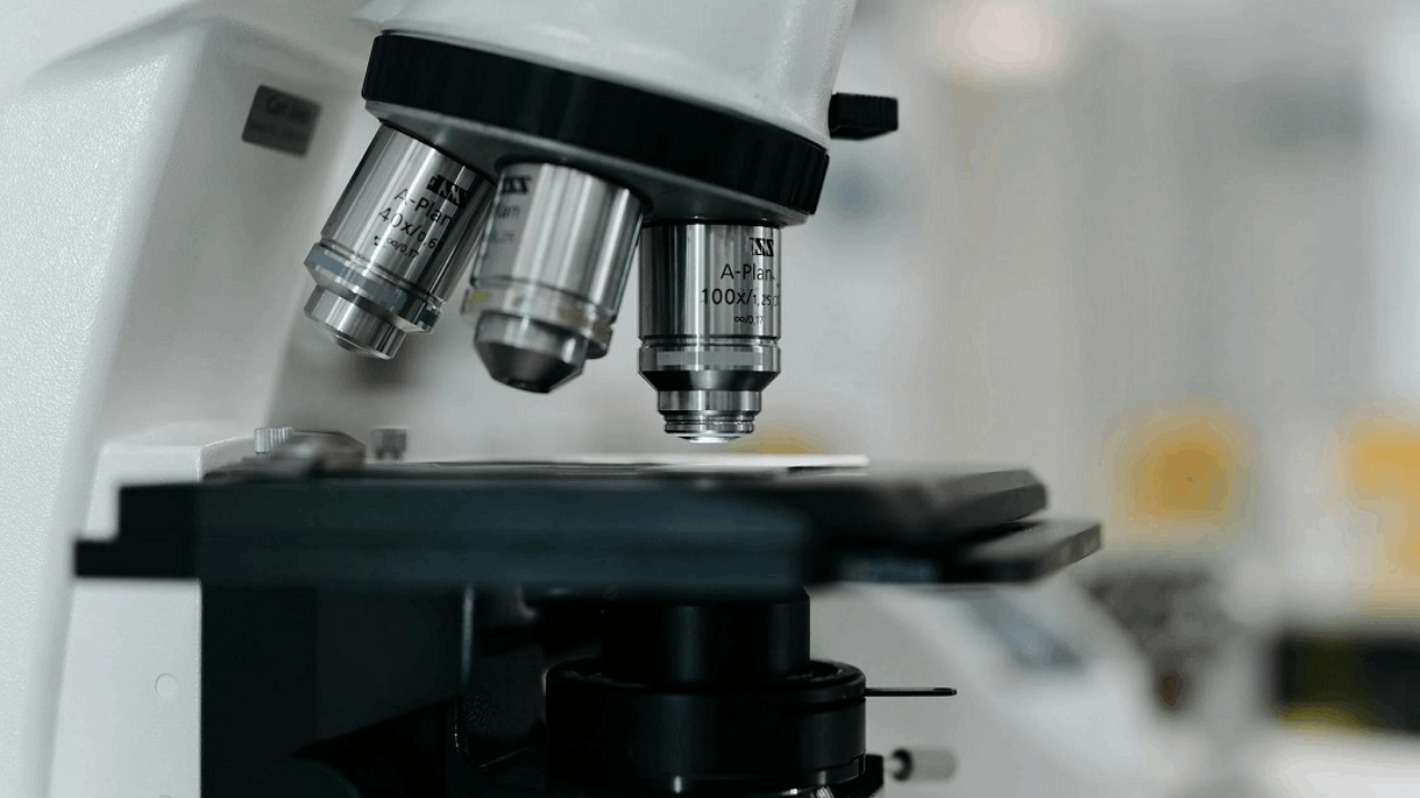 Silexion Therapeutics Reports Strong Tumor Growth Reduction from Systemic Administration of SIL-204 in Preclinical Pancreatic Cancer Models