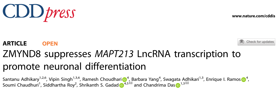 ZMYND8抑制MAPT213 lncRNA转录促进神经元分化