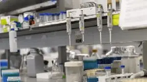 INTENT Biologics Receives FDA Breakthrough Therapy Designation for PEP Biologic™ for its Phase 3 Ready Flagship Indication