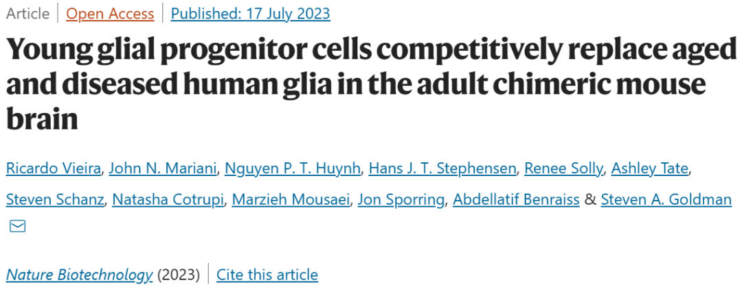 《自然·生物技术》：重大突破！科学家首次基于人体细胞发现，年轻健康的神经胶质祖细胞可通过竞争替代病变或衰老细胞