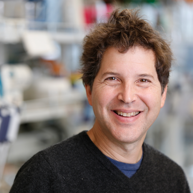 David Baker’s lab uses AI to help catch nature’s squirmiest proteins