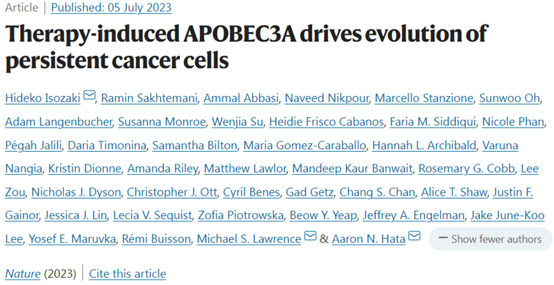 Nature：揭示APOBEC3A导致肿瘤细胞对靶向疗法产生耐药性