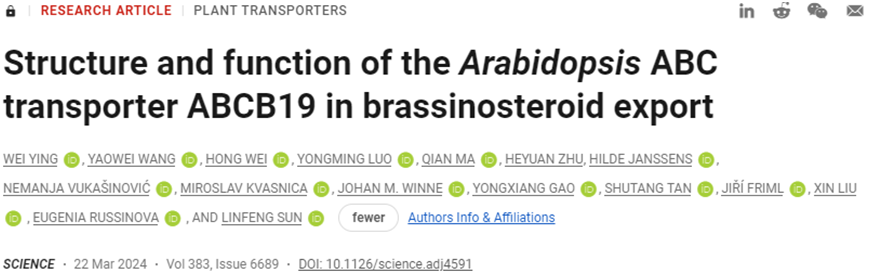 Science：中外科学家携手首次发现油菜素甾醇输出蛋白并破解它的三维结构