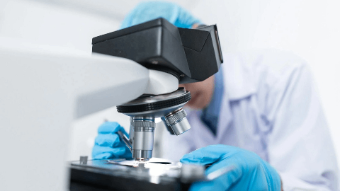 Alkeus Pharmaceuticals Announces Two Presentations of Oral Gildeuretinol Data During the 48th Annual Meeting of the Macula Society Being Held February 12-15, 2025