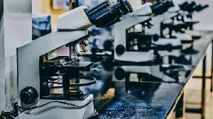 Arrowhead Pharmaceuticals Presents Phase 3 SHASTA-3 and SHASTA-4 Data Demonstrating Plozasiran Reduced Acute Pancreatitis Events in Patients with Severe Hypertriglyceridemia