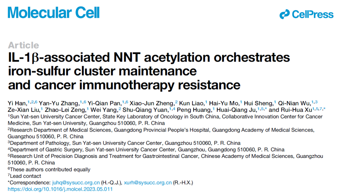 徐瑞华/鞠怀强团队揭示IL-1β通过抑制肿瘤细胞铁死亡，促进肿瘤免疫治疗抵抗