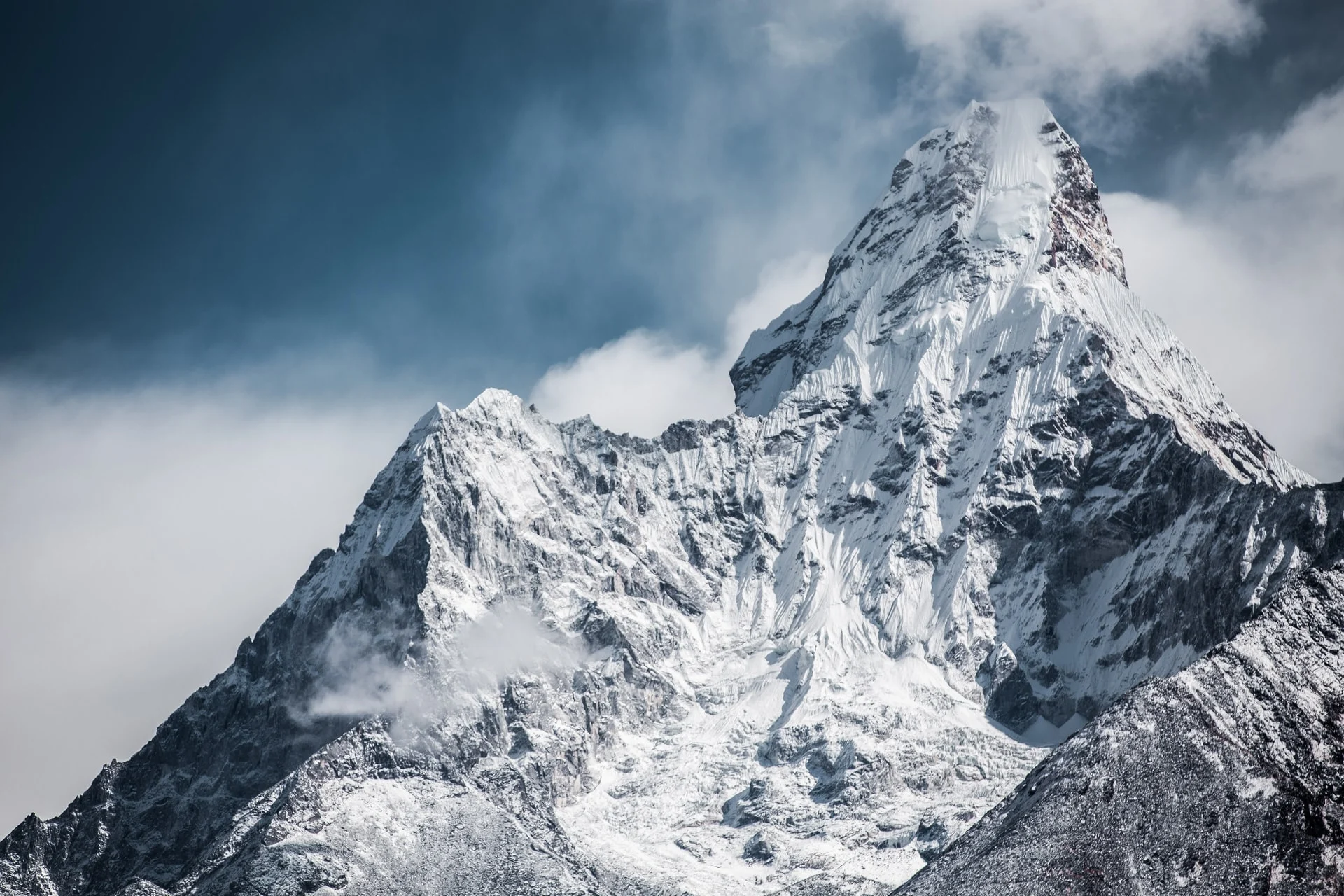 Everest appoints Gilead, COVID therapy vet CEO to bring therapies to market in China