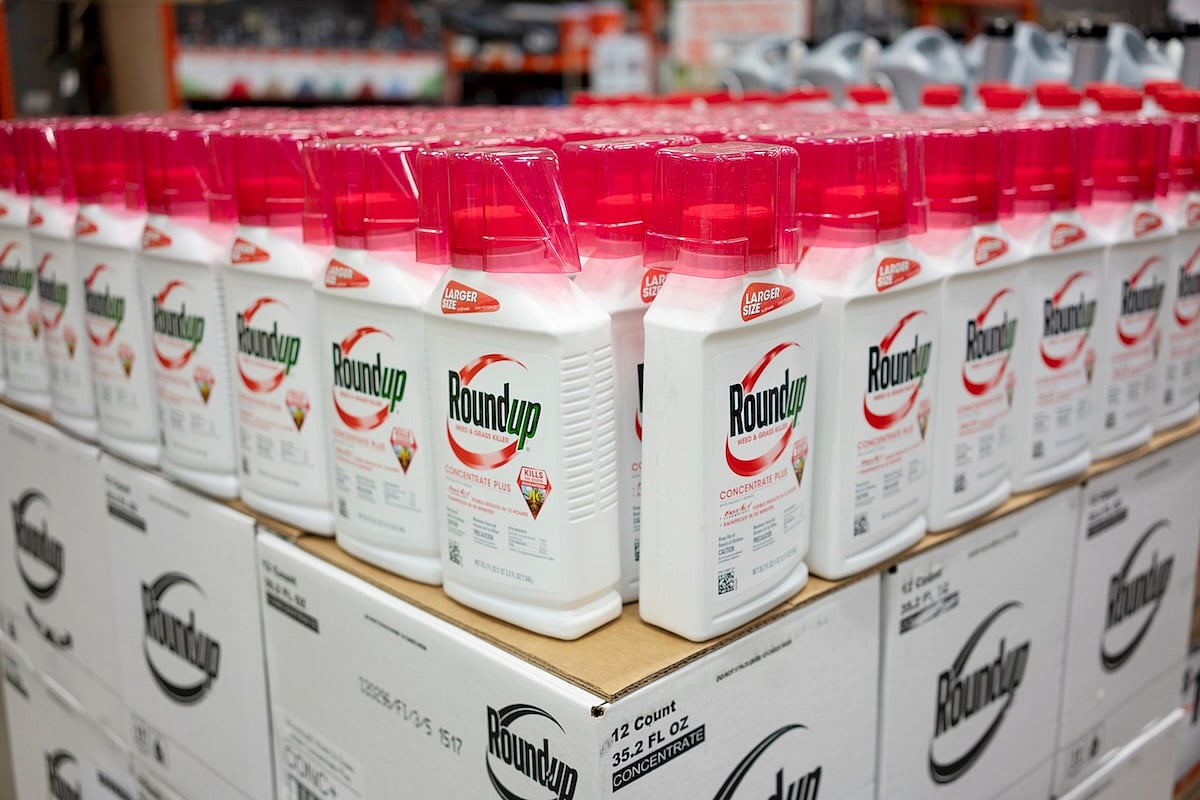 Trump Order Backing Popular Weedkiller, Glyphosate, Sparks Backlash From MAHA