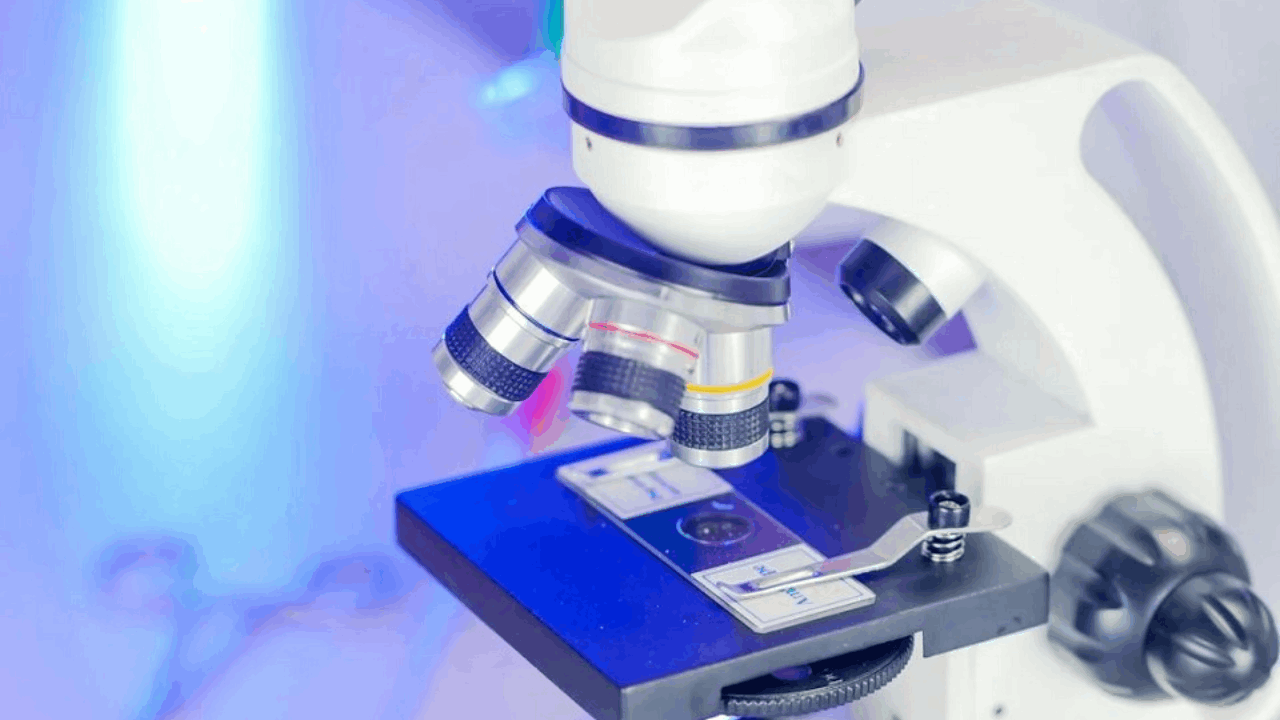 IMUNON Announces 2025 ASCO Annual Meeting Oral Presentation Highlighting Unprecedented Survival Data from Phase 2 Trial of IMNN-001 in Treatment of Newly Diagnosed Advanced Ovarian Cancer