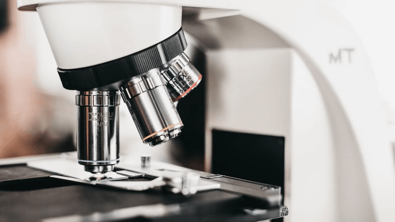 GRI Bio’s Interim Biomarker Data Demonstrate Positive Trend Towards Anti-Fibrotic Effect of GRI-0621 in First Twelve Patients of Ongoing Phase 2a Study in Idiopathic Pulmonary Fibrosis (“IPF”)