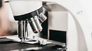 GRI Bio’s Interim Biomarker Data Demonstrate Positive Trend Towards Anti-Fibrotic Effect of GRI-0621 in First Twelve Patients of Ongoing Phase 2a Study in Idiopathic Pulmonary Fibrosis (“IPF”)