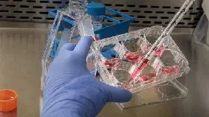 CYCLACEL PHARMACEUTICALS HIGHLIGHTS PUBLICATION OF PRECLINICAL DATA SHOWING THAT PLOGOSERTIB IS ACTIVE IN A HARD-TO-TREAT SUBTYPE OF LIVER CANCER