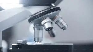 Coherus Oncology Announces Publication in Molecular Cancer Therapeutics Highlighting the Strong Pharmacology of Investigational CCR8 Antibody Tagmokitug (CHS-114)