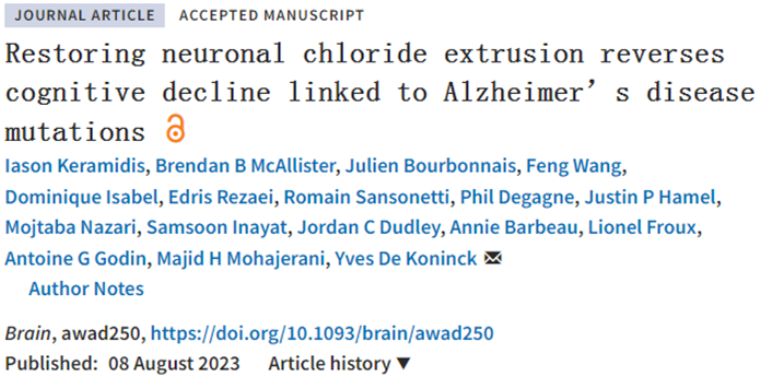 Brain：恢复大脑神经元中的KCC2水平有望改善与阿尔茨海默病相关的认知表现